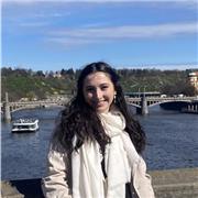 Clases particulares de varias asignaturas, primaria, segundaria, bachillerato o cursos anteriores